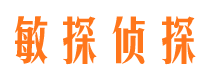 宛城市侦探公司